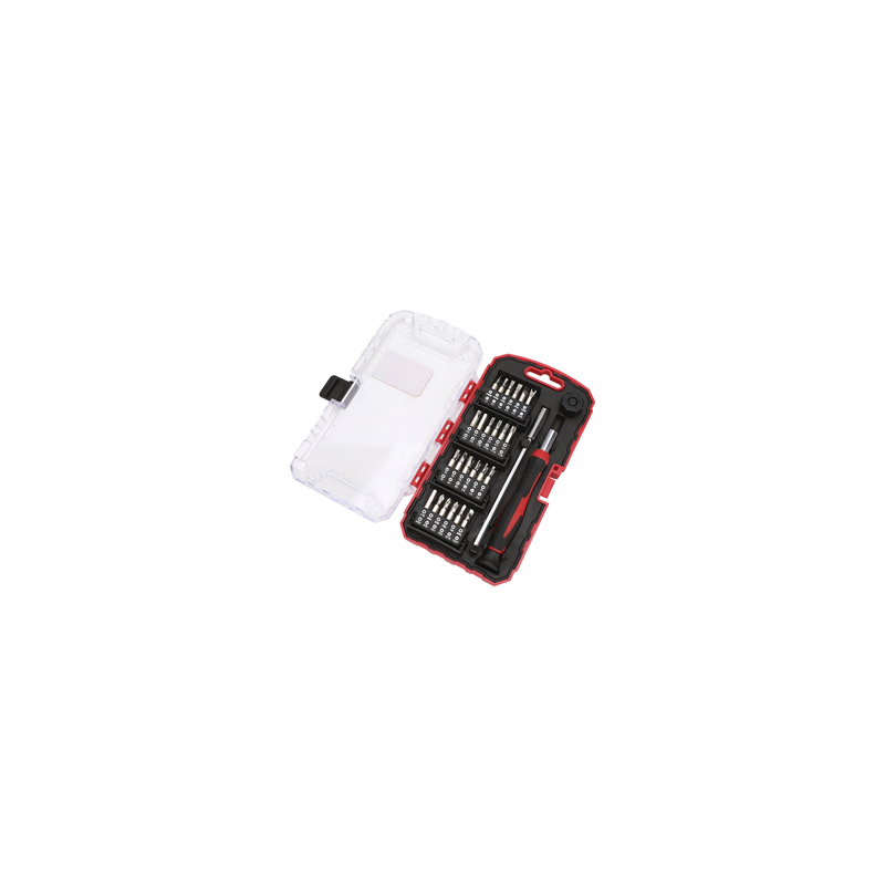 Juego de 51 Piezas de Desarmador de Precisión con Puntas con Extensor (CR-V).